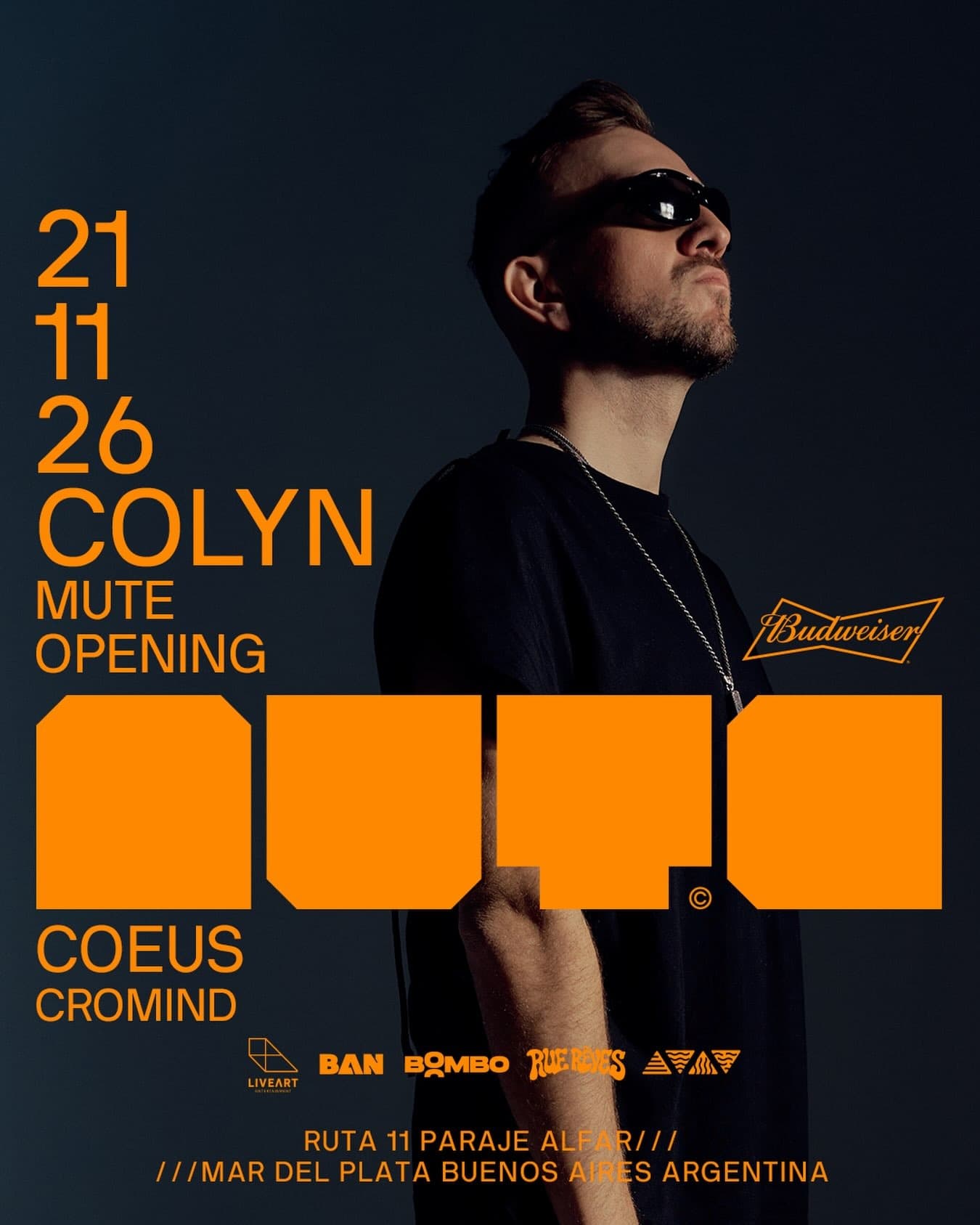 Flyer de COLYN